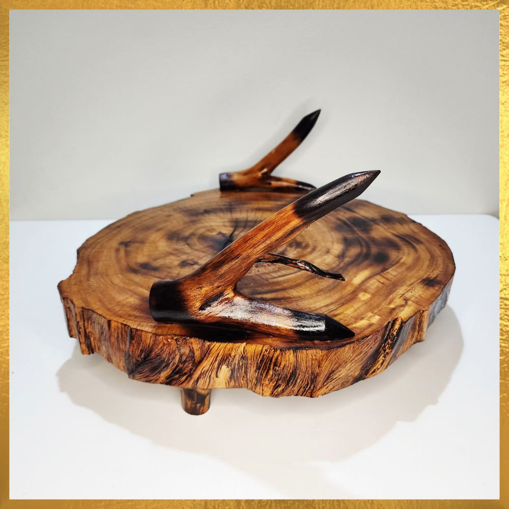 1000x1000_20260223_162546_0000_072252